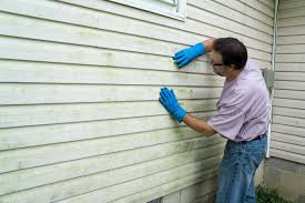 Best Aluminum Siding Installation  in Singac, NJ